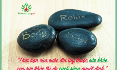 SỰ CÂN BẰNG
